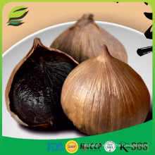 Korean hot sell single bulb black garlic